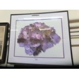 A framed double mounted photographic print of hydrangea