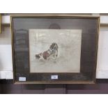 A framed and glazed hand coloured print of Spaniel with game bird in mouth after Vernon Stokes