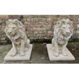 CONTEMPORARY SCHOOL SCULPTURAL LIONS, a pair, 68cm x 62cm x 42cm, faux stone. (2)