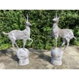 STAGS GARDEN STATUES, a pair, cast iron, 100cm x 60cm. (2)