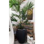 FAUX BUTTERFLY PALM TREE, 280cm H, potted.