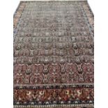 FINE PAISLEY DESIGN BIDJAR CARPET, 345cm x 255cm.