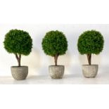 FAUX BOX TREES, a set of three, potted, 38cm x 22cm. (3)