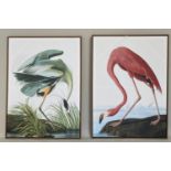 AFTER JOHN JAMES AUDUBON, a set of two, 113cm x 83cm, prints on canvas, framed. (2)