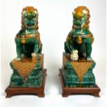 FOO DOGS, a pair, Sancai glazed ceramic on carved wooden bases, 70cm H. (2)