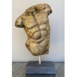 STUDY OF ADONIS, contemporary school sculptural study on stand, 68cm x 48cm x 17cm.