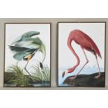 AFTER JAMES AUDUBON, Crane and Flamingo, prints on canvas, framed, each 113cm high, 83cm wide. (2)