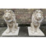 CONTEMPORARY SCHOOL SCULPTURAL LIONS, 70cm H, a pair, composite stone. (2)