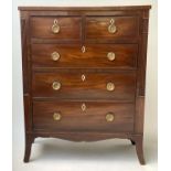 SCOTTISH HALL CHEST, early 19th century mahogany, of rare small size and adapted shallow