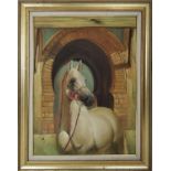 MARCUS ZIVOLI 'Arab Stallion', oil on board, signed, 79cm x 59cm, framed.