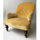 ARMCHAIR, Victorian walnut with buttoned primrose yellow velvet upholstery, 67cm W.