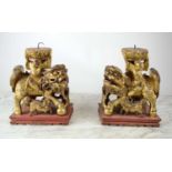 PRICKET CANDLESTICKS, a pair, Chinese temple lions carved giltwood, 30cm H x 25cm. (2)