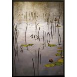 HAN ZEN CHIANG (Chinese, b.1981) 'Water Lilies and Stems', oil on canvas, signed, 120cm x 80cm,