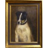 19th CENTURY SCHOOL 'Portrait of a Jack Russell', oil on canvas, 40cm x 30cm, framed.