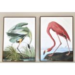 AFTER JOHN JAMES AUBUDON PRINTS, from the Birds of America, on canvas framed, a set of two, 113cm