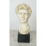 BUST OF DAVID AFTER MICHAELANGELO, alabaster, 35cm H.