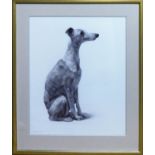 FAYE ANDERSON (Scottish, b.1977) 'Grey Hound', lithograph, signed and numbered 2/20, 55cm x 45cm,