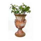 ITALIAN SGRAFFITO TERRACOTTA URN, grotto style with distressed lime wash finish, 60cm H.