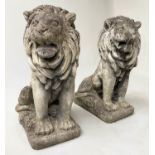 GARDEN LIONS, a pair, 65cm H, by Teak Tiger, Suffolk, well weathered reconstituted stone. (2)