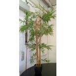 FAUX BAMBOO PLANT, 155cm H, potted.