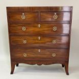 HALL CHEST, Regency mahogany and boxwood string of adapted shallow proportions with five drawers,