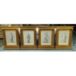 CLASSICAL PRINTS, in gilt frames, four sets of four, each frame overall 67cm H x 51cm W. (4)