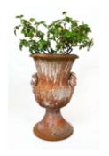 ITALIAN SGRAFFITO TERRACOTTA URN, grotto style with distressed lime wash finish, 60cm H.