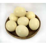 OSTRICH EGGS, eight, in a basket 46cm W. (8)