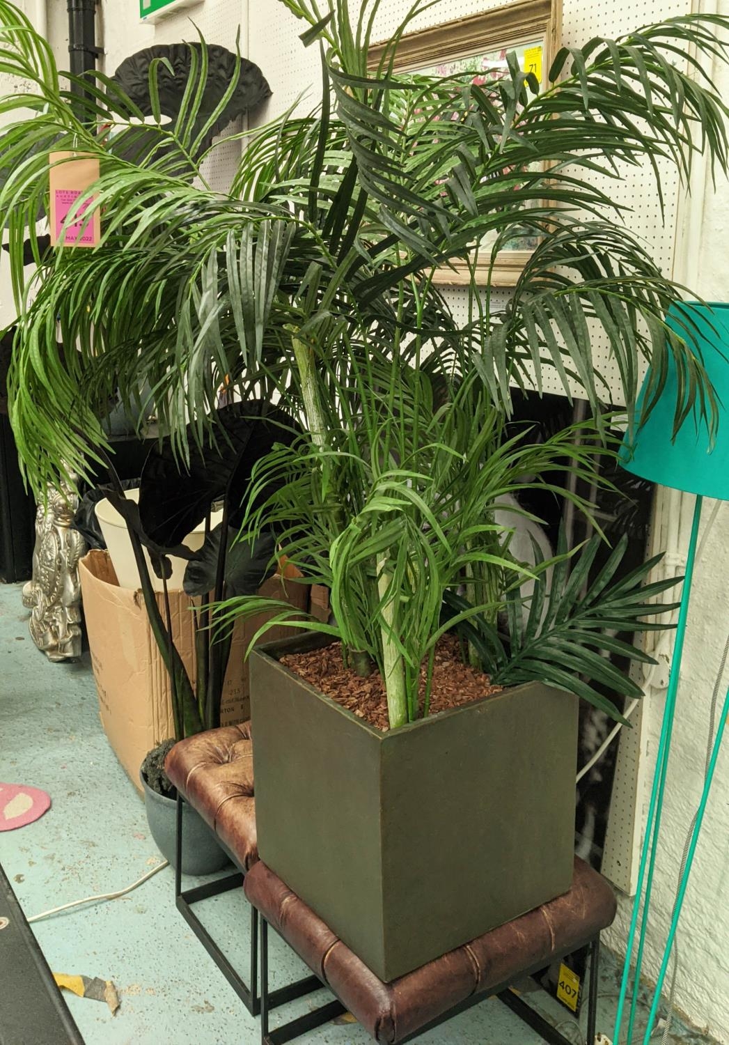 FAUX ARECA PALM DISPLAYS, potted, 170cm H.