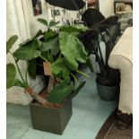 FAUX PHILODENDRON AND FAUX ALOCASIA DISPLAYS, potted, 126cm. (2)