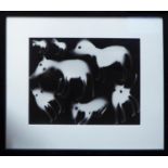 20th CENTURY SCHOOL 'Dogs', photogram, 27cm x 34cm, framed.