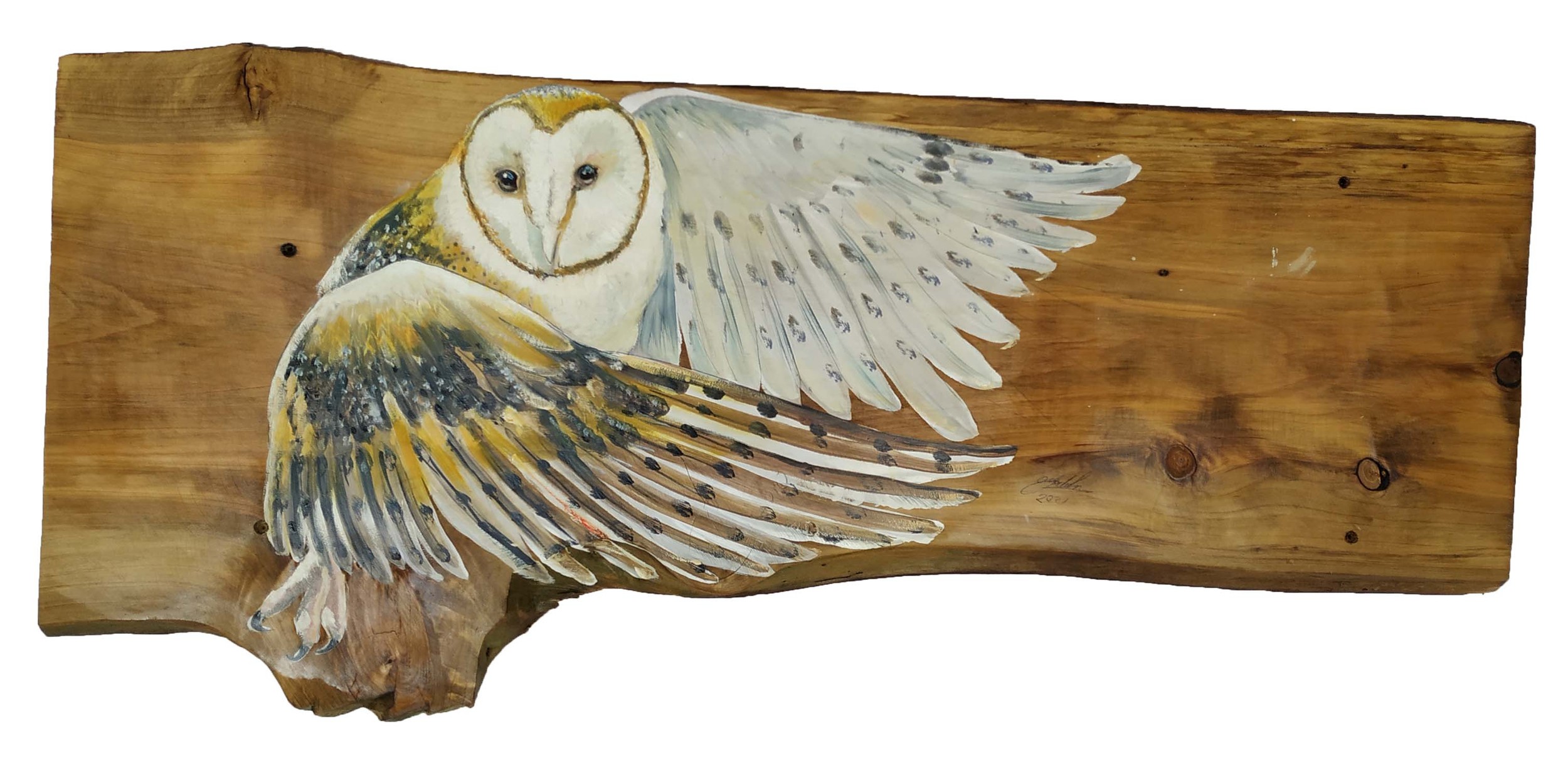 CLIVE FREDERIKSON (South Africa), 'Owl', oil on panel, 37cm x 85cm.