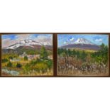 20th CENTURY JAPANESE SCHOOL 'Landscapes', a pair of oil on canvas, signed 'S. Okubo', 79cm x