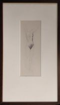 WILLIAM DRING (1904-1990) 'Study from the Female Nude', pencil, 8cm x 21cm, framed. (Bears 'Julian