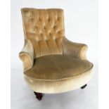 ARMCHAIR, Victorian walnut with buttoned golden velvet upholstery and scroll arms, 75cm W.
