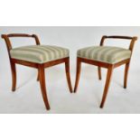 WINDOW SEATS, a pair, 19th century Biedermeier satin birch and stellar inlay each with raised