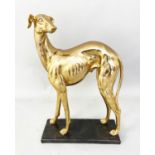 SCULPTURAL STUDY OF A WHIPPET, gilt finish, 64cm x 43 x 15cm.