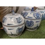 CHINESE JARS AND COVERS, a pair, 25cm H x 24cm diam., blue and white hand painted decoration, Dogs