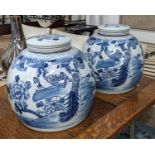 GINGER JARS, a pair, 28cm H, Chinese Export style, blue and white ceramic. (2)