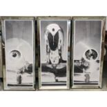 TROWBRIDGE GALLERY, aeroplane triptych, 127cm x 57cm, overall each framed and glazed.