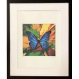 AFTER DAMIEN HIRST, 'Blue butterfly', offset lithograph printed signature embossed stamp framed.