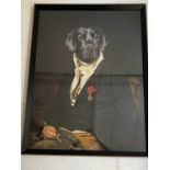 SIR BARKER, 106cm H x 82cm W, print on board, framed and glazed.