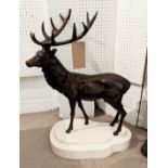 BRONZE STAG, twelve pointer indistinctly signed on back leg 35/100 on white shaped stand, 62cm x
