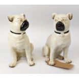 STAFFORDSHIRE PUG DOG FIGURES, a pair, hand painted, 27cm H. (2)