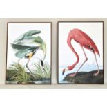 AFTER JAMES AUDUBON FLAMINGO AND CRANE BIRD PRINTS, on canvas, framed, 113cm H x 83cm W. (2)