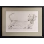 VERA BONDARE, Dachsund, pencil on paper, 16cm x 25cm, framed.