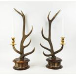 ANTHONY REDMILE STYLE RED DEER ANTLER CANDELABRA, a pair, 68cm H, gold plated fittings. (2)