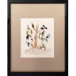 20TH CENTURY SCHOOL 'Botanical Studies', watercolours, 38cm x 24cm, framed (set of four).