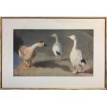 ARTHUR W GAY (1901-1958) 'Geese', watercolour, 32cm x 52cm, signed, framed.