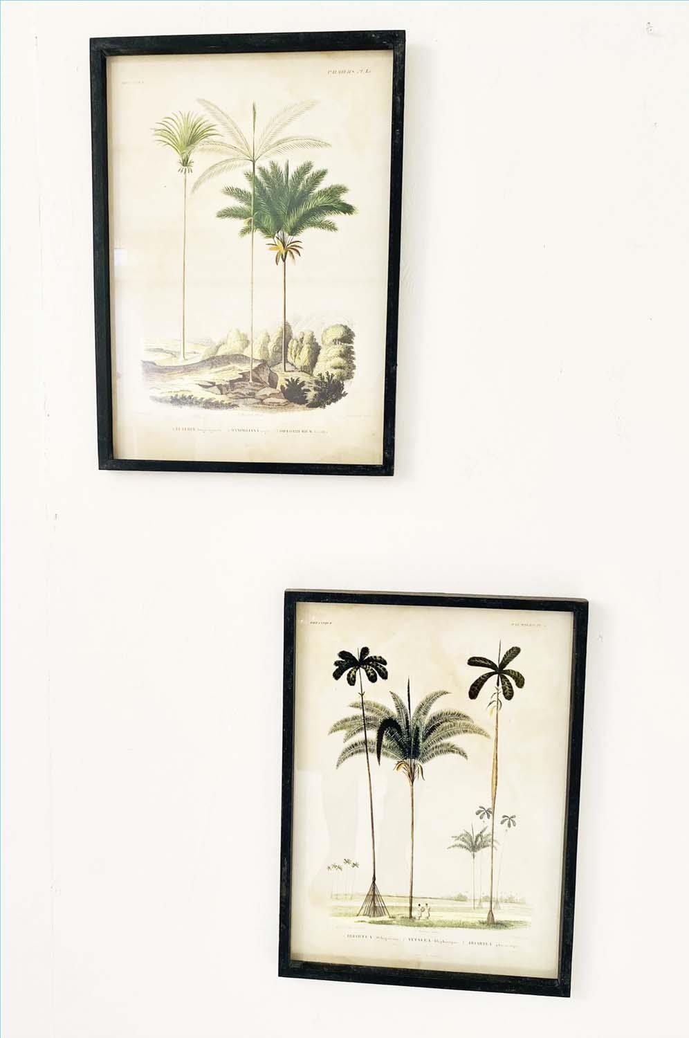 BOTANICAL PRINTS, a pair, framed, 56cm x 41cm. (2) - Image 2 of 3